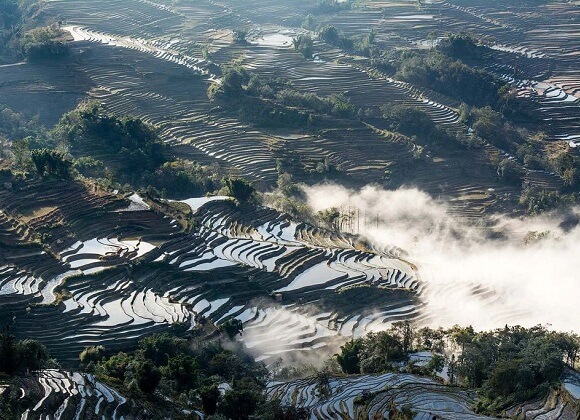 Yuanyang Rice Terraces of Yunnan China