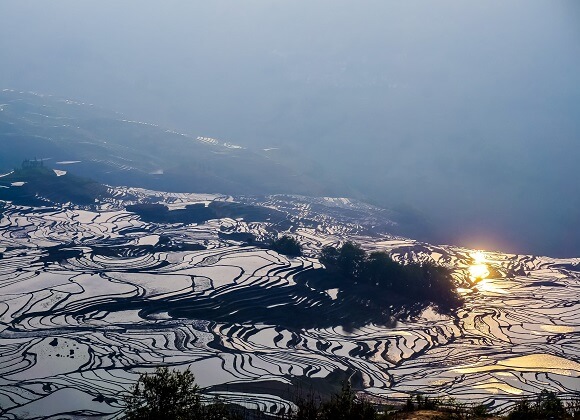 Yuanyang Rice Terraces of Yunnan