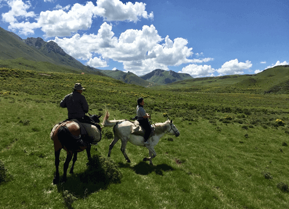 Riding horses on the grassland of Langmusi