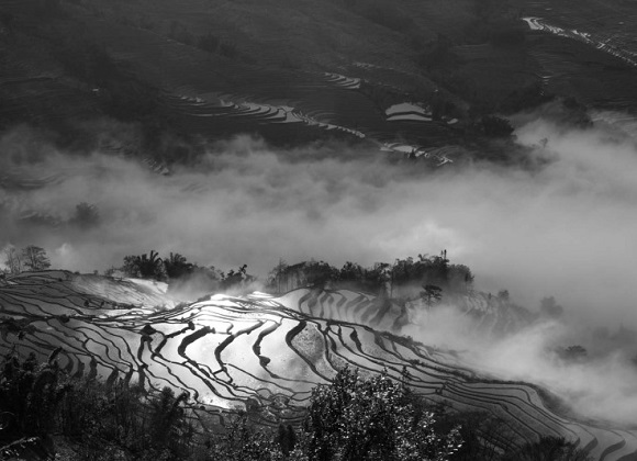 Yunnan Yuanyang Rice Terraces