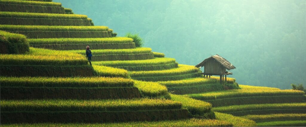 Yunnan Rice Terraces