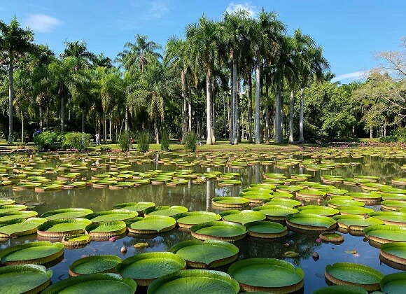 Xishuangbanna Botanical Garden
