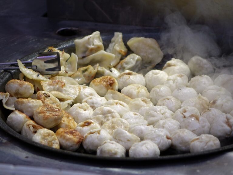 Boiled Dumpling of China