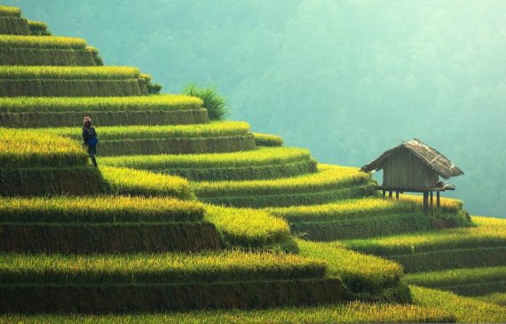 Yunnan Rice Terraces